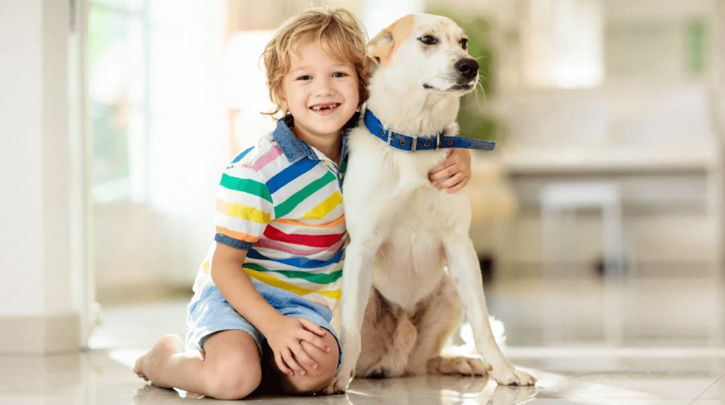 animal-assisted therapy for autism
