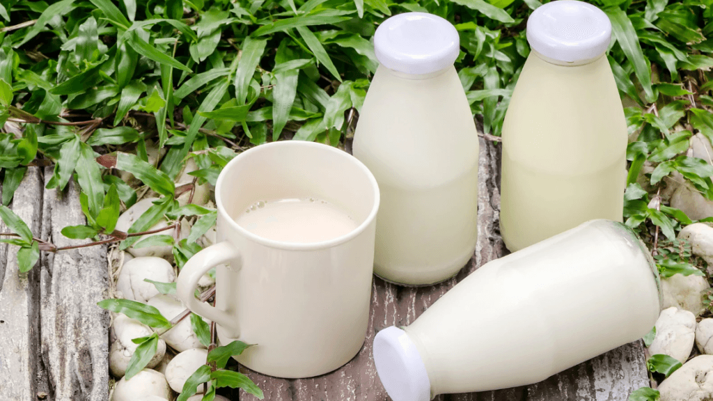 should autistic kids avoid milk