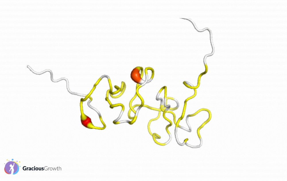 what genetic mutation causes autism